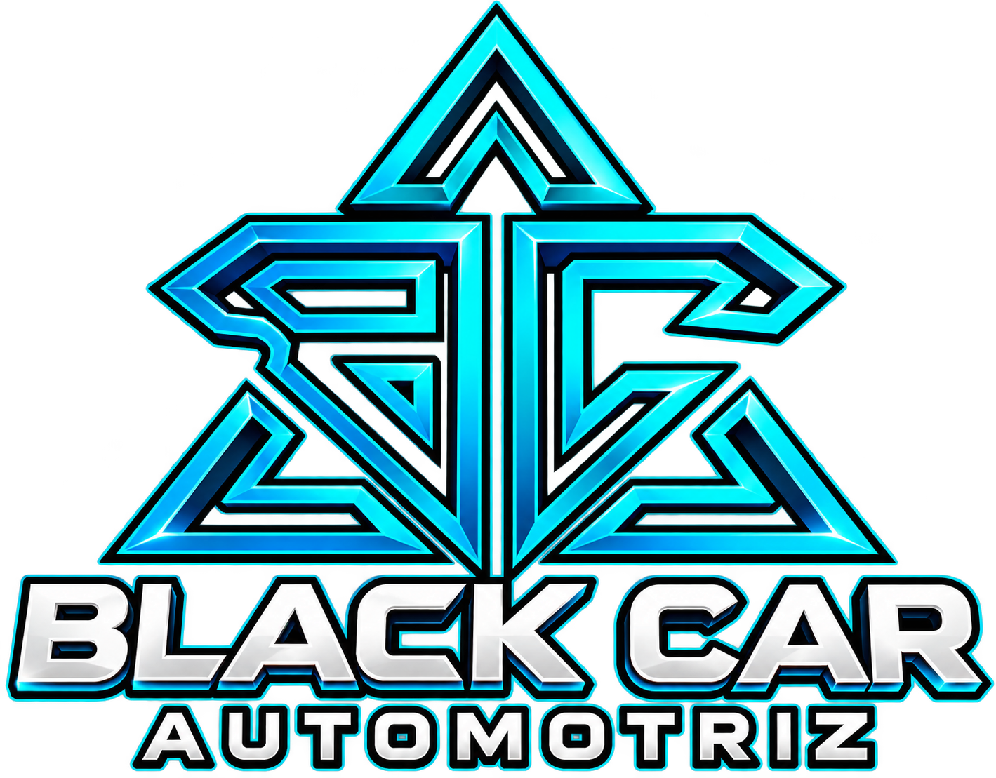 TEAM BLACK CAR